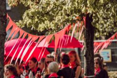 Downloadbereich-scaled